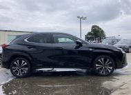 LEXUS UX 250h
