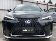 LEXUS UX 250h
