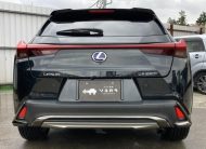 LEXUS UX 250h