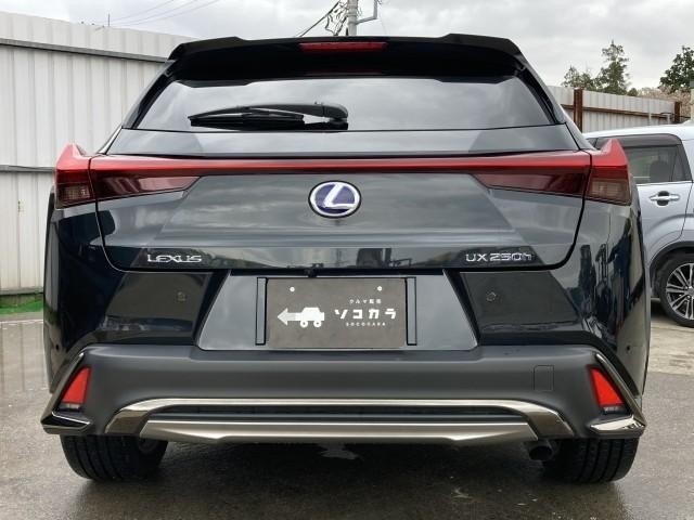 LEXUS UX 250h