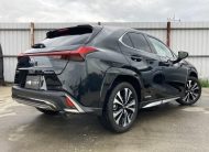 LEXUS UX 250h