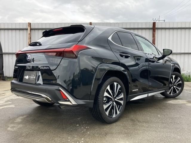 LEXUS UX 250h