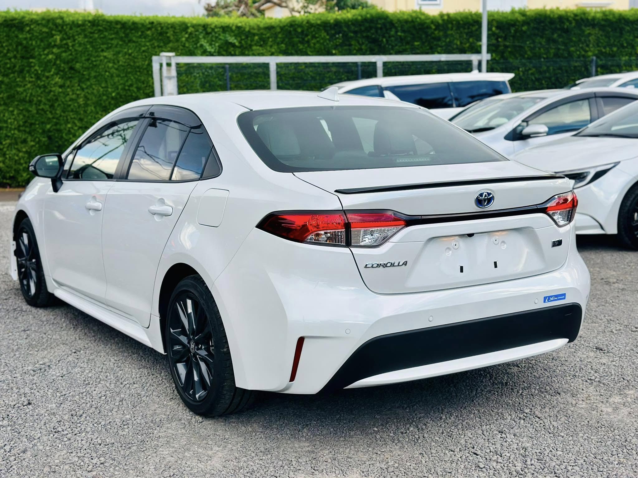 TOYOTA COROLLA WXB FACELIFT