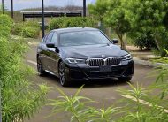 BMW 530e M SPORT