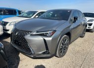 Lexus UX250h