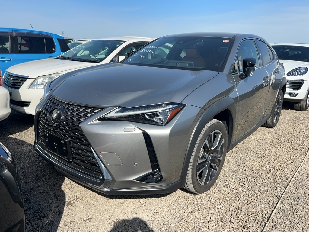 Lexus UX250h