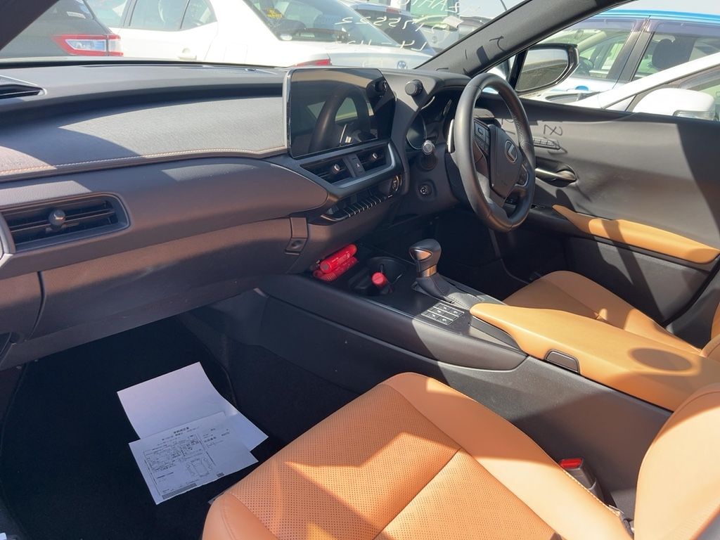 Lexus UX250h